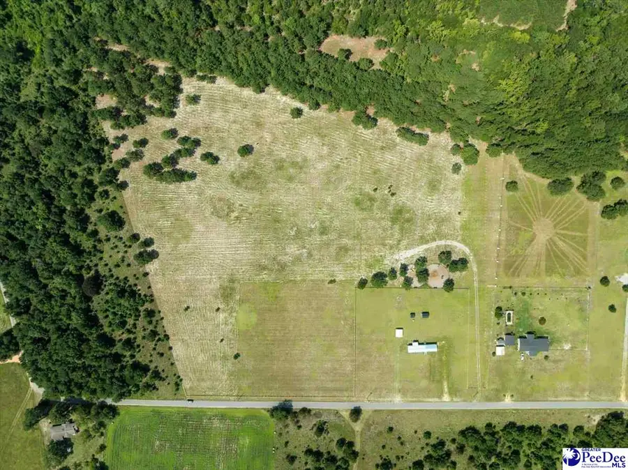 2247 Horseshoe Road, Pamplico, SC 29506 - #3