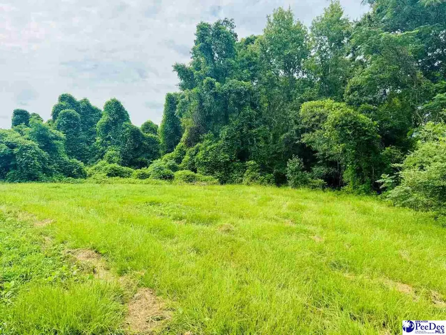 Skeeter Lane, McColl, SC 29570 - #2