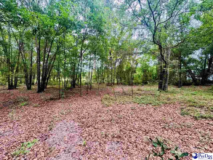Skeeter Lane, McColl, SC 29570 - #3