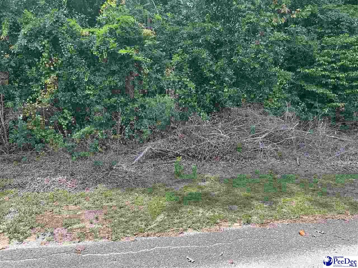 Holly Circle, Darlington, SC 29532 - #1