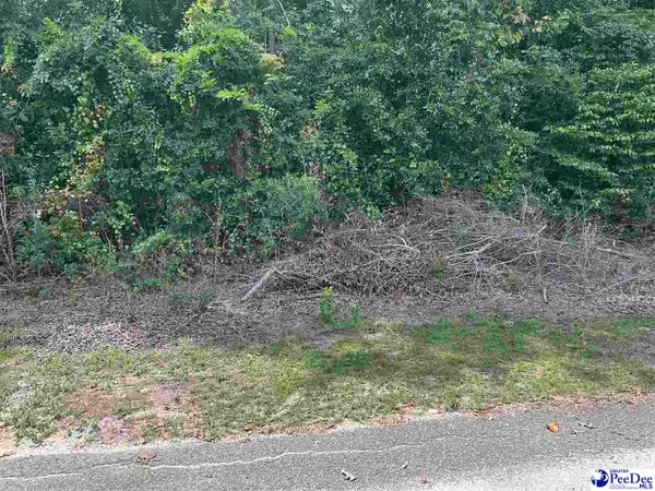 Holly Circle, Darlington, SC 29532