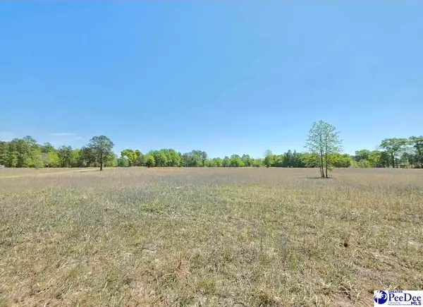 0 Trent Drive, Dillon, SC 29536