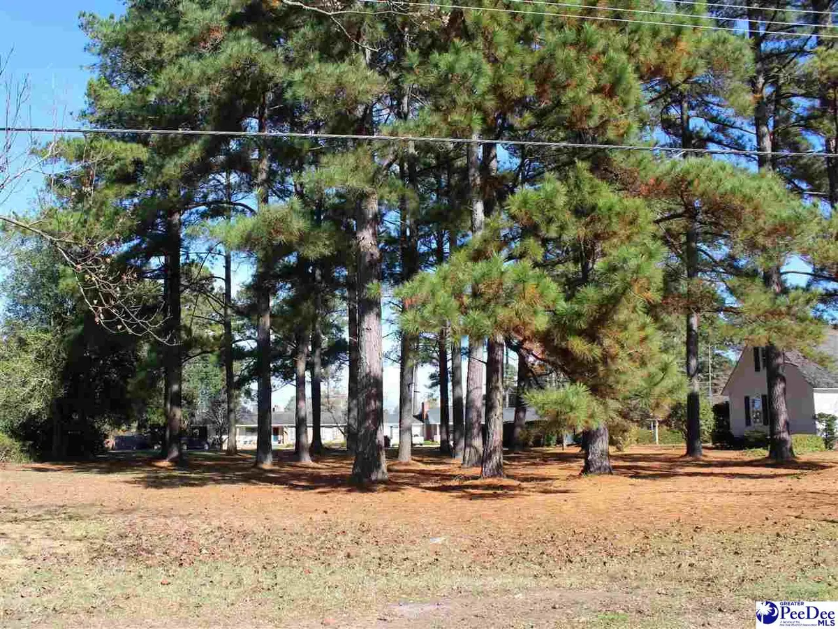tbd Franklin Ave., Marion, SC 29571-0000 - #1