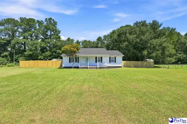 6427 Pamplico Hwy, Effingham, SC 29541-7716