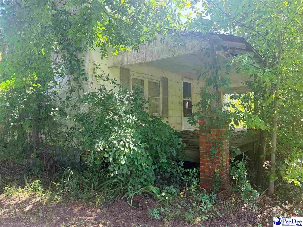 1002 W 3rd Ave, Lake View, SC 29563 - #1
