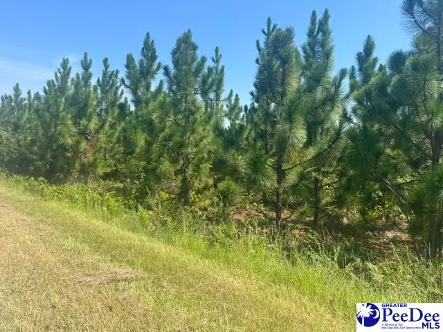 3793 Highway 109 South, Hartsville, SC 29709 - #1