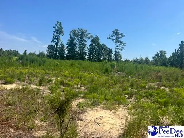 3793 Highway 109 South, Hartsville, SC 29709 - #2