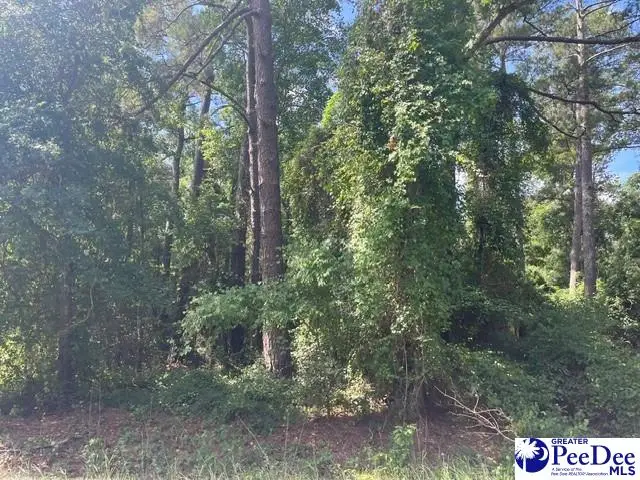 TBD Patrick Hwy, Hartsville, SC 29550-4739 - #1