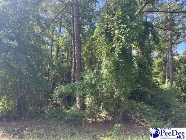 TBD Patrick Hwy, Hartsville, SC 29550-4739