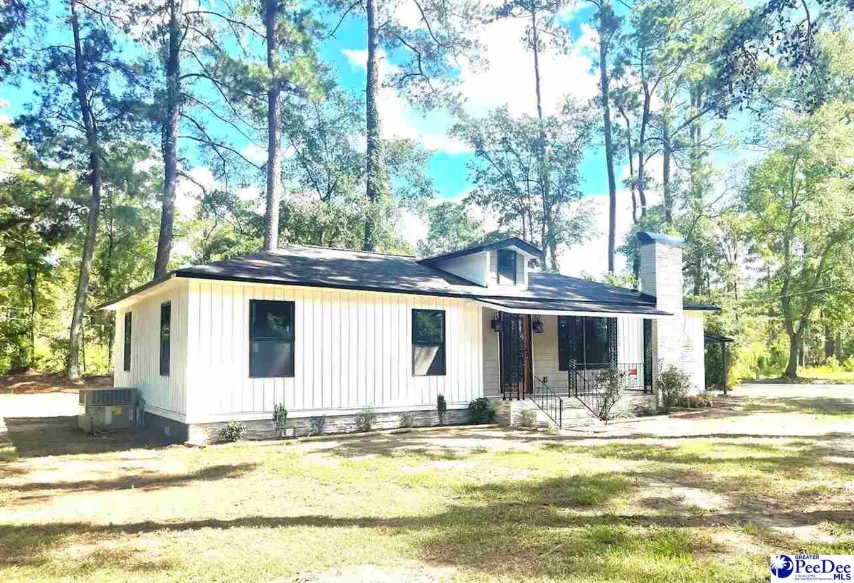 308 S Liberty, Olanta, SC 29114-9341 - #1