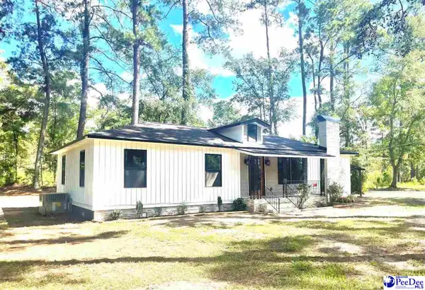 308 S Liberty, Olanta, SC 29114-9341