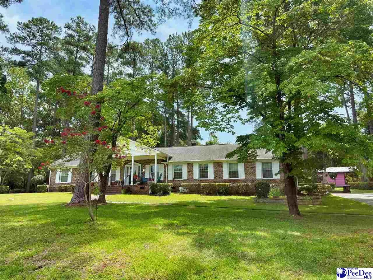 303 Park Lane, Chesterfield, SC 29709 - #1