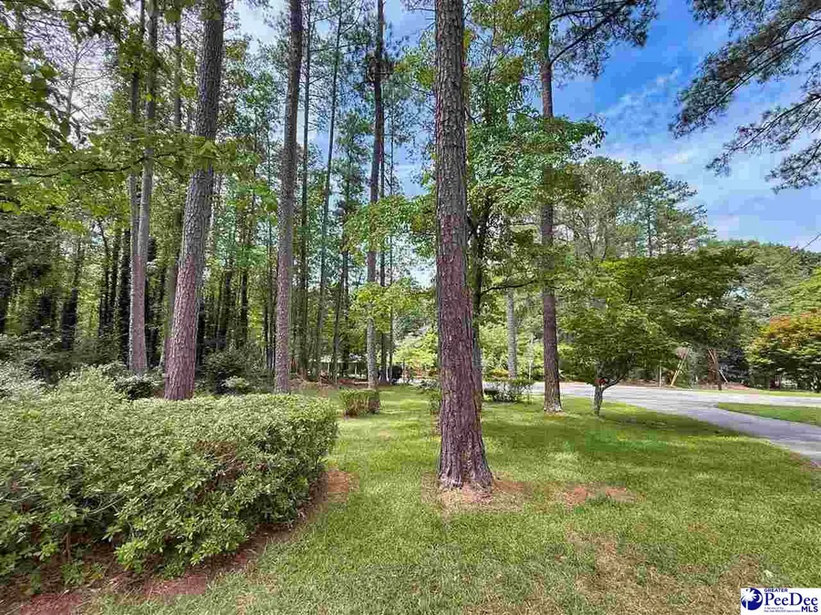 303 Park Lane, Chesterfield, SC 29709 - #3