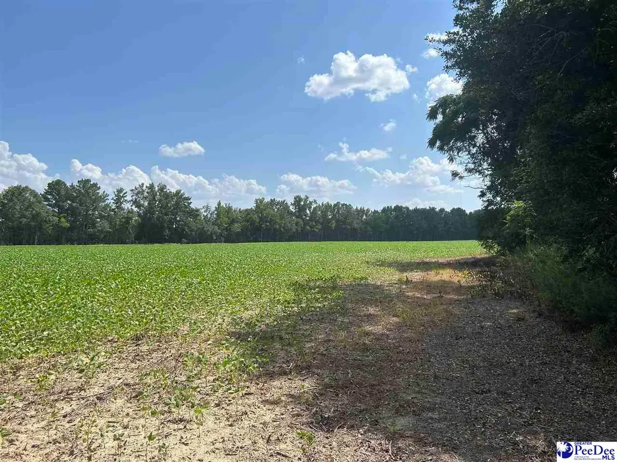 Mack Rd, Timmonsville, SC 29161 - #1
