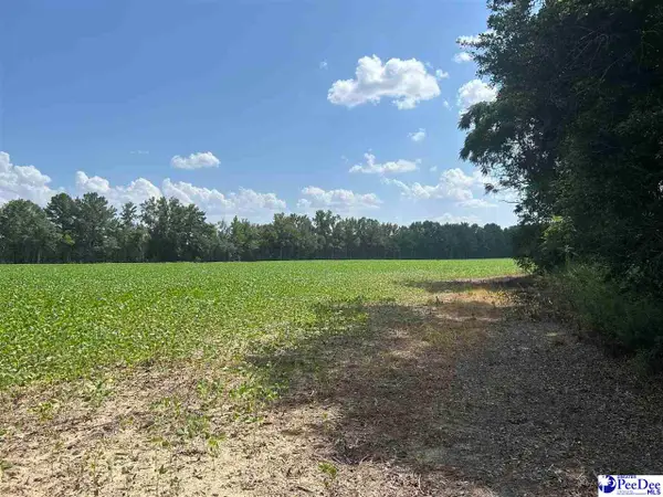 Mack Rd, Timmonsville, SC 29161