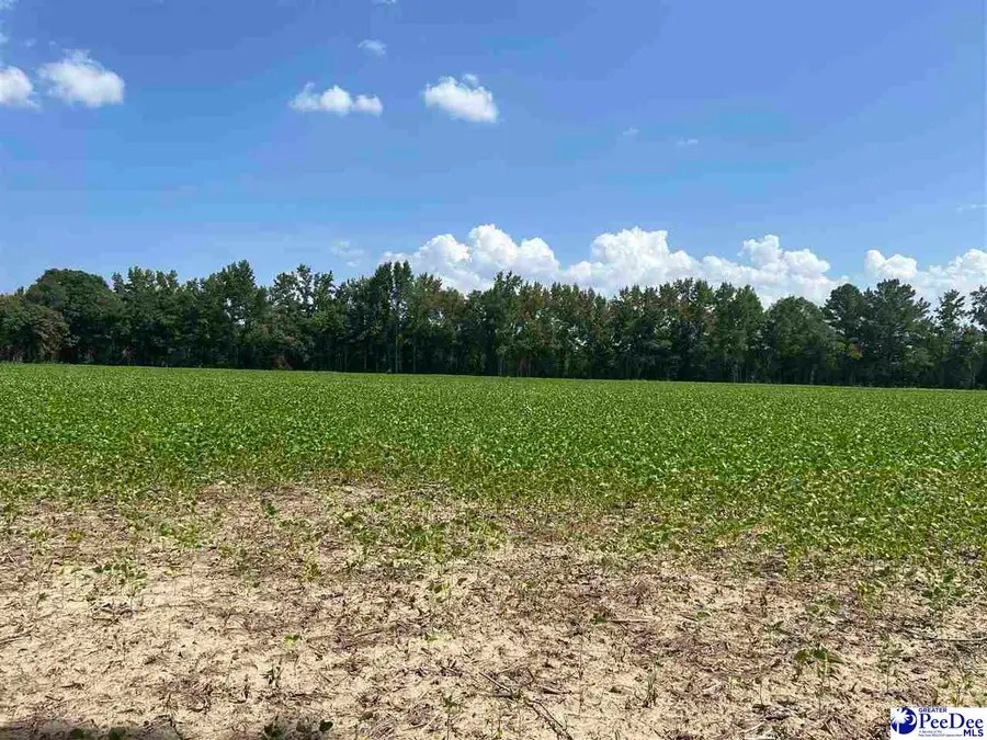 Mack Rd, Timmonsville, SC 29161 - #3