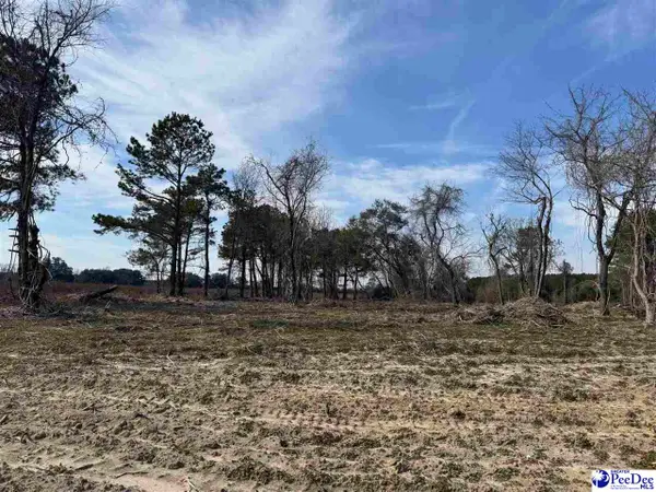 Hwy 52 Bypass, Darlington, SC 29532