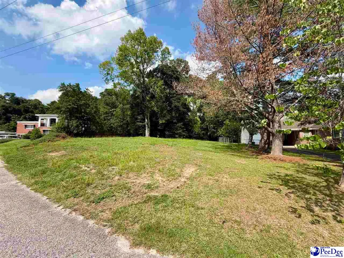 Evangeline Dr, Darlington, SC 29532 - #1