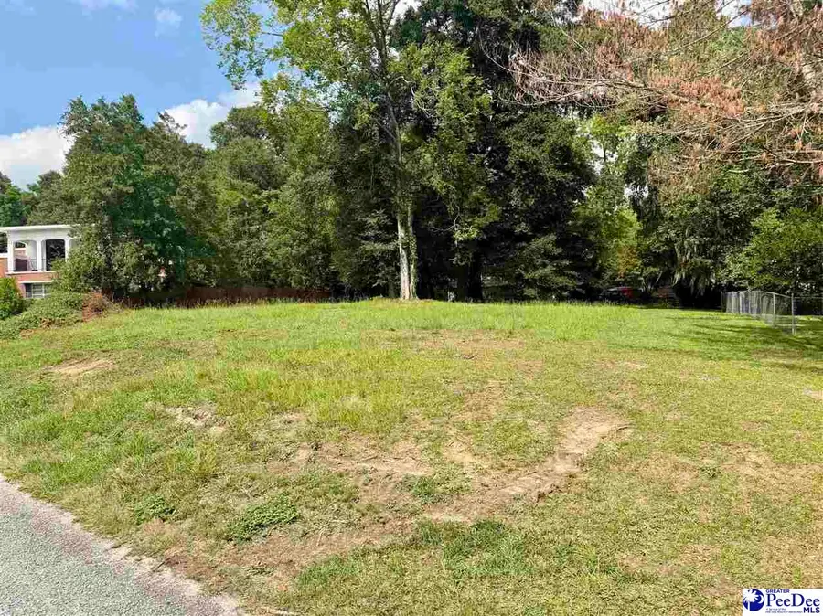 Evangeline Dr, Darlington, SC 29532 - #2