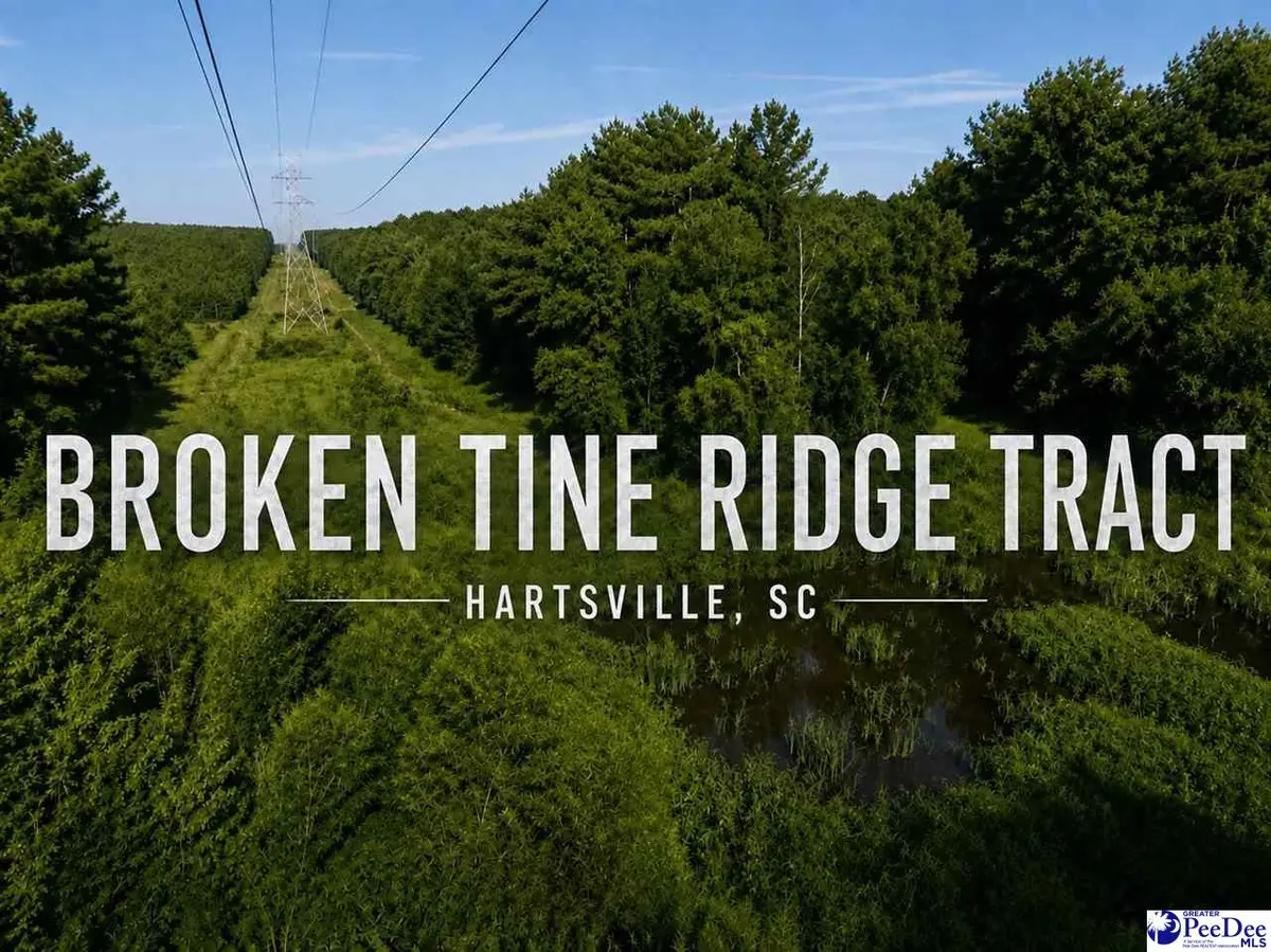 1433 Clyde School Rd, McBee, SC 29101 - #1