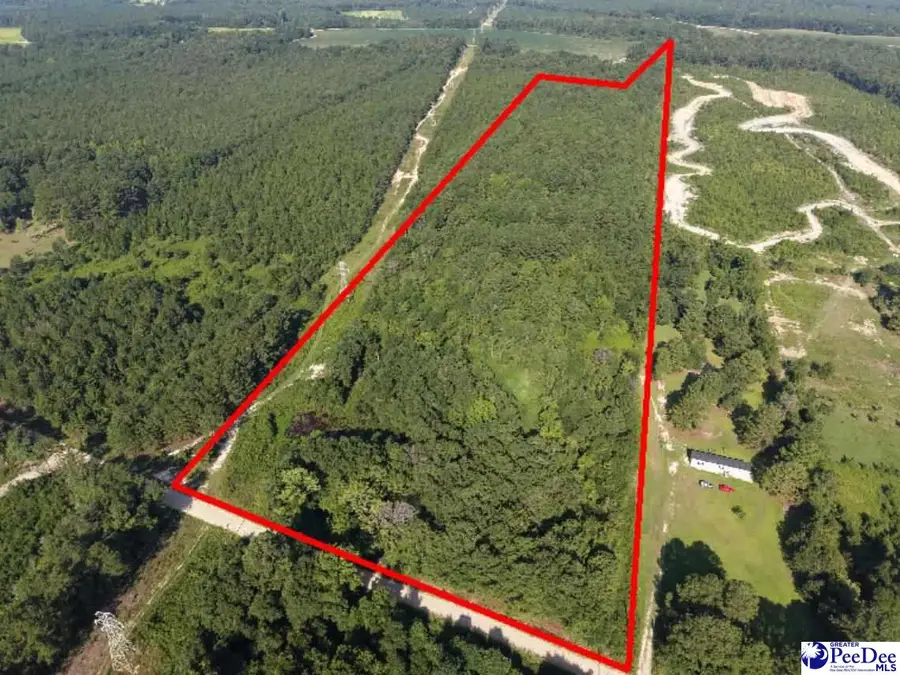 1433 Clyde School Rd, McBee, SC 29101 - #3