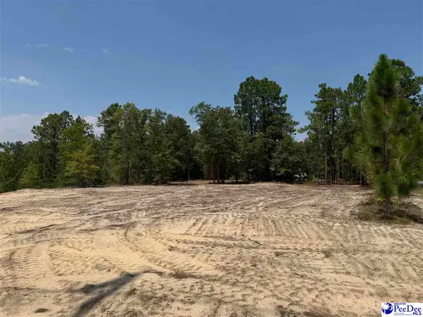 Lot 3 Patrick Highway, Hartsville, SC 29550