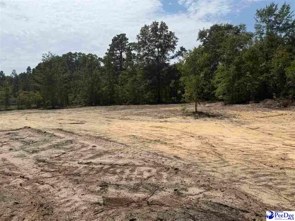 Lot 2 Patrick Highway, Hartsville, SC 29550