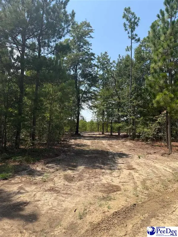 Lot 1 Patrick Highway, Hartsville, SC 29550