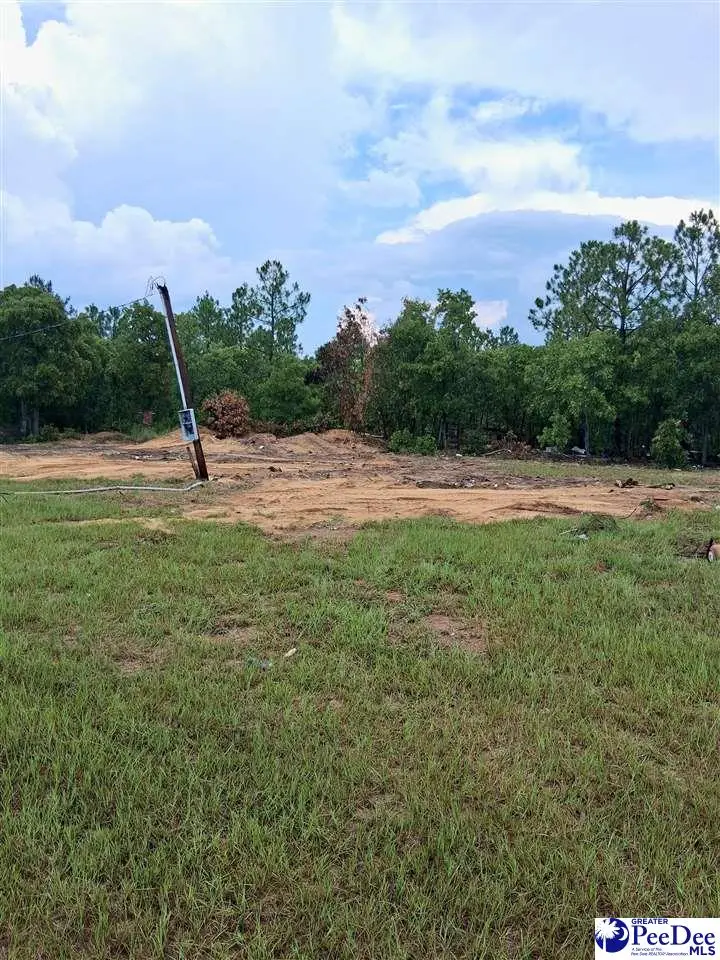 2298 Bullard Ford Road, Hartsville, SC 29550 - #3