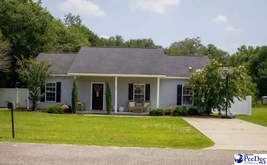 231 Ash St, Darlington, SC 29532-3001 - #1