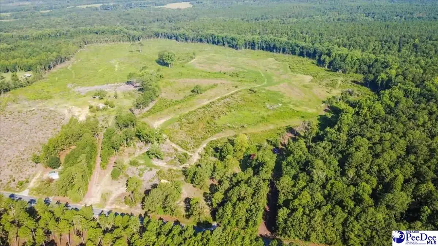 222 Gunn Mill Rd, Patrick, SC 29584 - #2