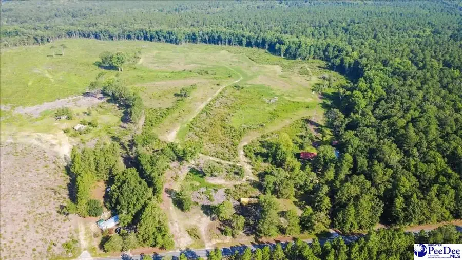 222 Gunn Mill Rd, Patrick, SC 29584 - #3