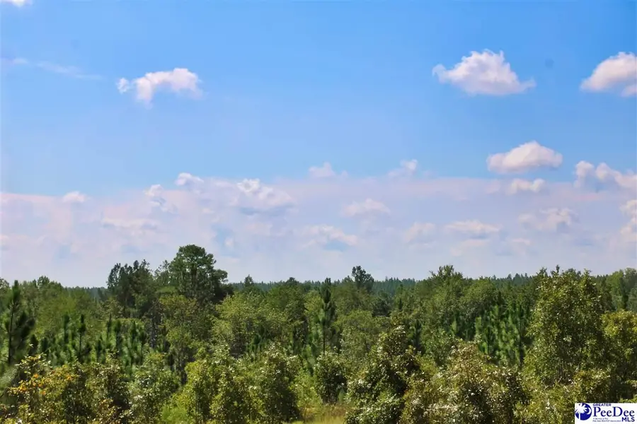 Wire Road 3, Patrick, SC 29584 - #2
