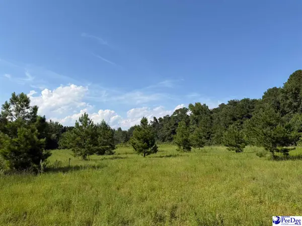 TBD Stoney Court, Dillon, SC 29536