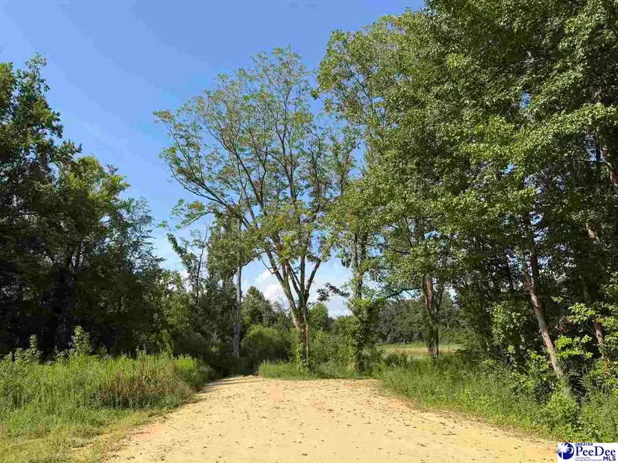 TBD Stoney Court, Dillon, SC 29536 - #2