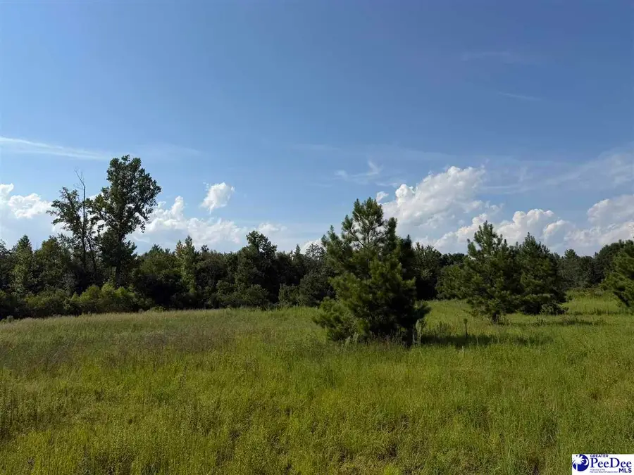 TBD Stoney Court, Dillon, SC 29536 - #3