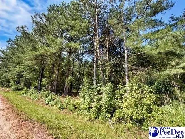 Laney Road, Cheraw, SC 29520 - #3
