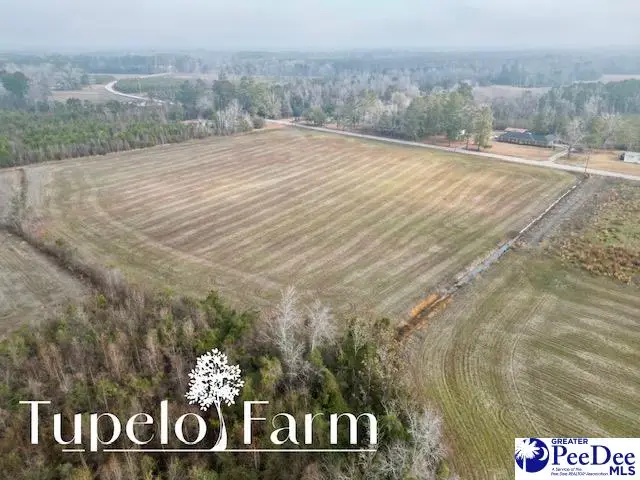 TBD W Lynhurst Rd, Lot 7, Pamplico, SC 29583 - #1