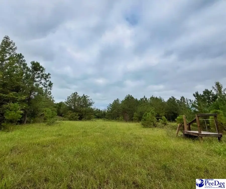 Us Hwy 1, Cheraw, SC 29520 - #2