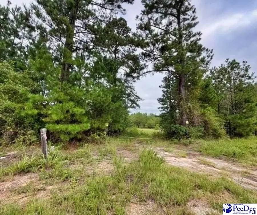 Us Hwy 1, Cheraw, SC 29520 - #3