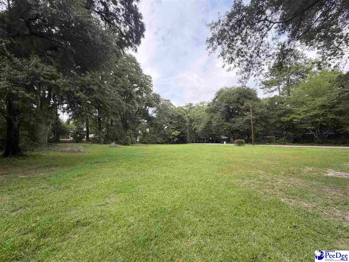 1101 Mimosa Drive, Florence, SC 29501 - #1