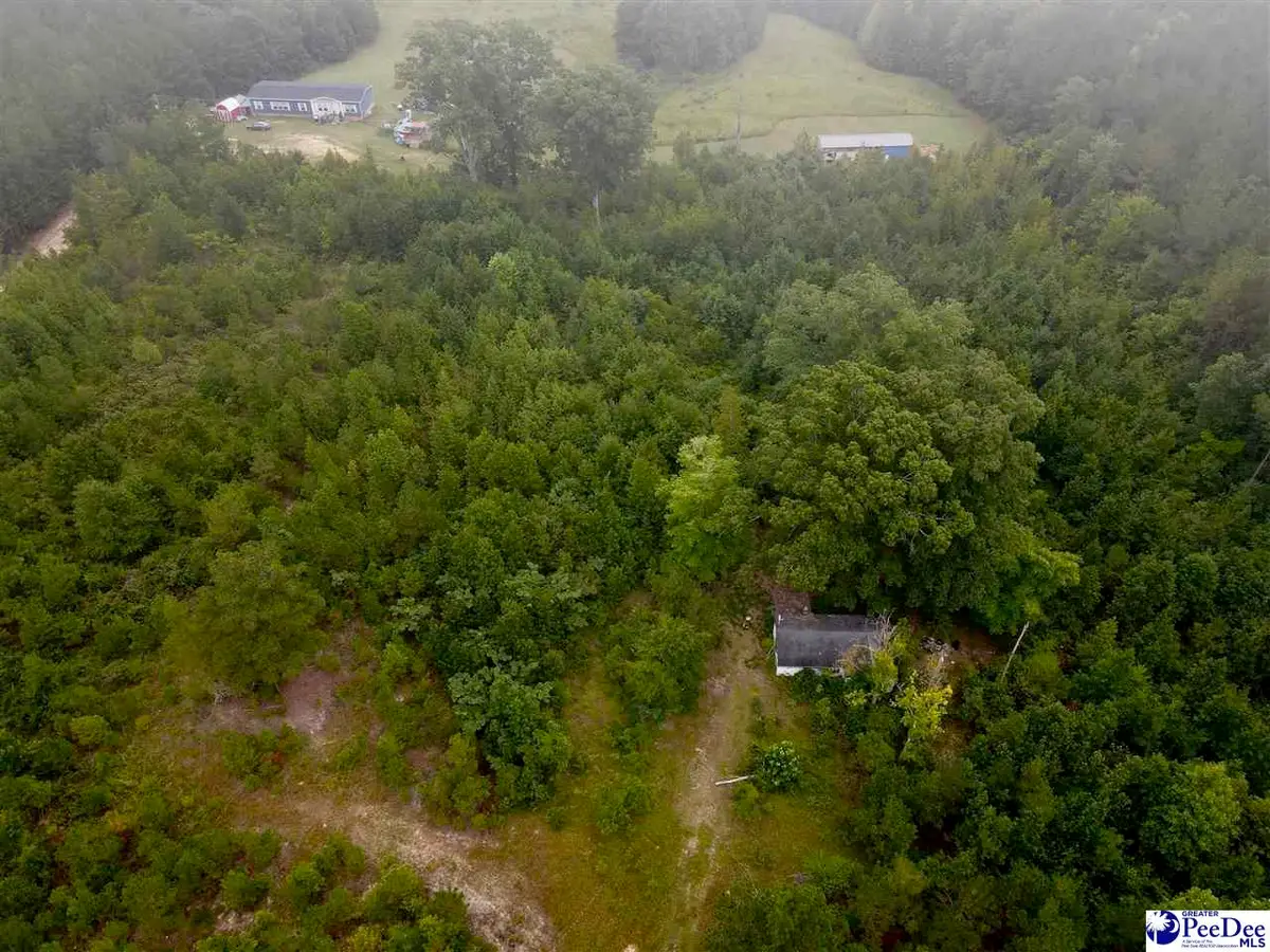 96 Pine Tree Ln, Chesterfield, SC 29709 - #1