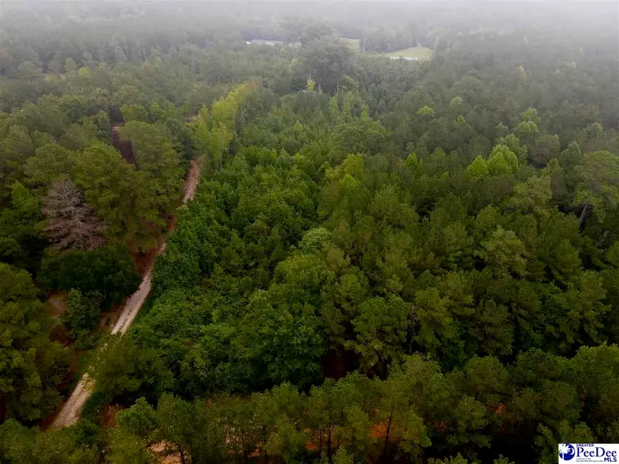 96 Pine Tree Ln, Chesterfield, SC 29709 - #2