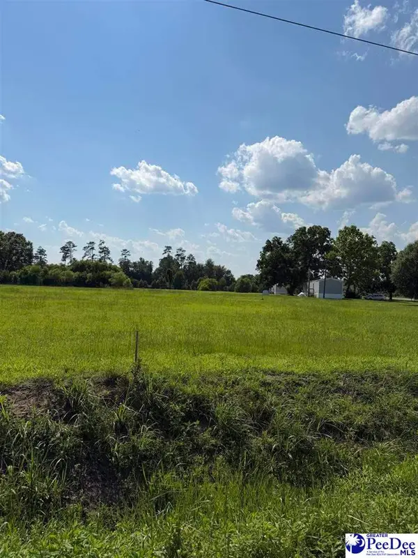 TBD Stirckland Rd Lot 3, Green Sea, SC 29545