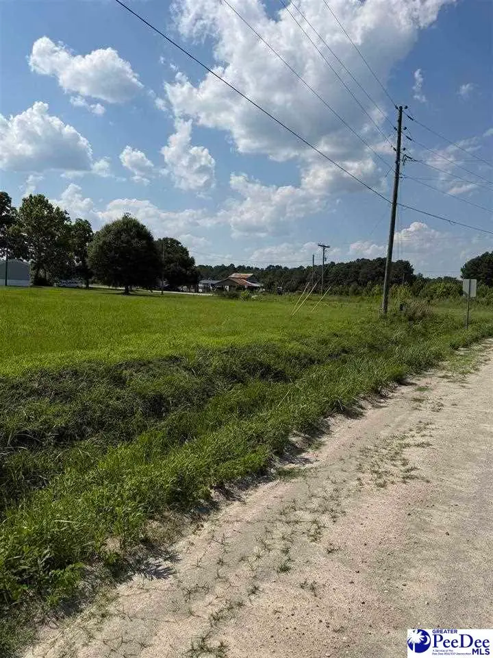 TBD Stirckland Rd Lot 3, Green Sea, SC 29545 - #3