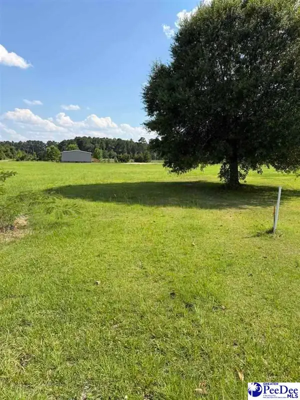 TBD Stirckland Rd Lot 2, Green Sea, SC 29545