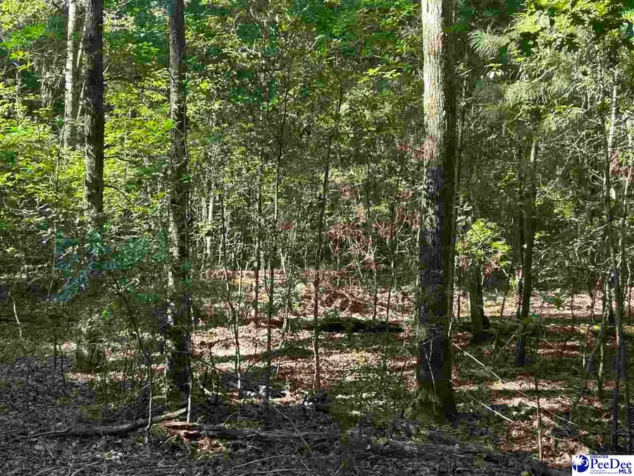 3213 Byrnes Blvd, Florence, SC 29506 - #2