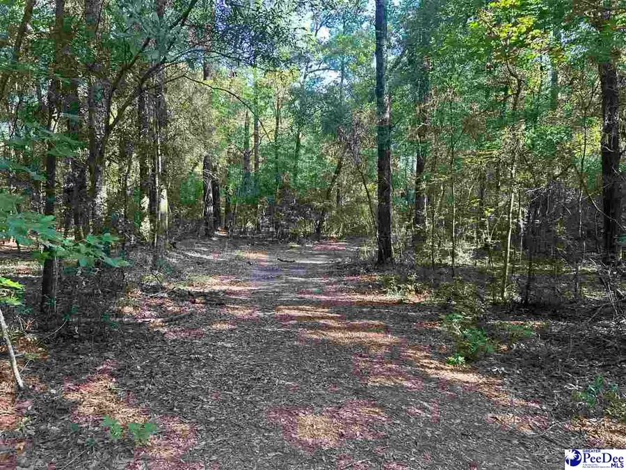 3213 Byrnes Blvd, Florence, SC 29506 - #3