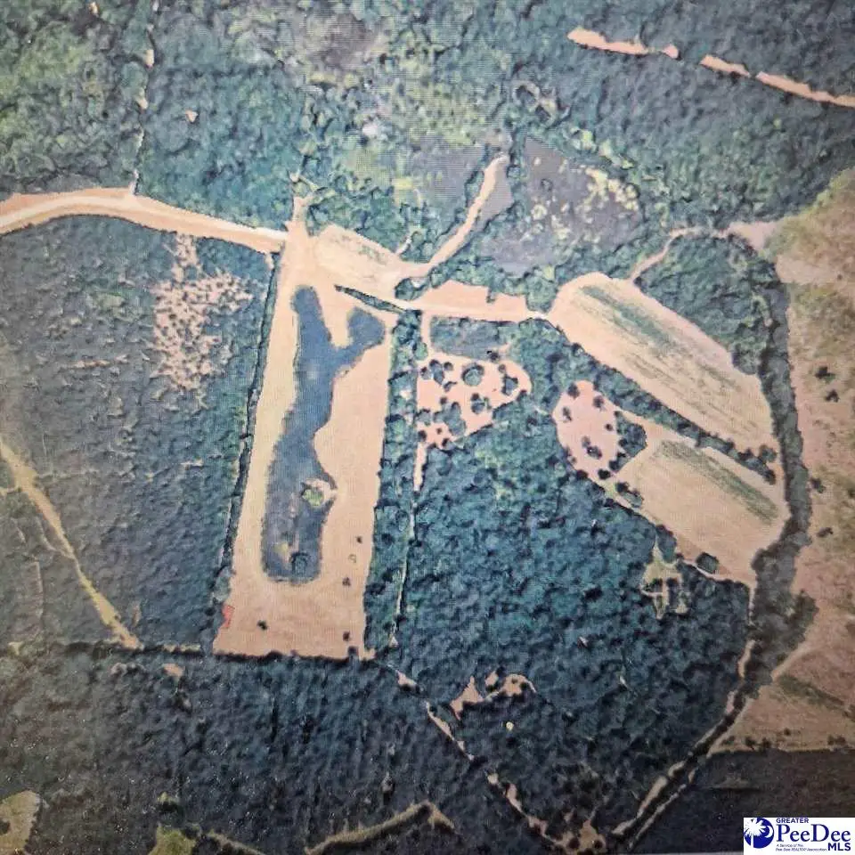 TBD Bratcher Rd, Conway, SC 29526 - #1