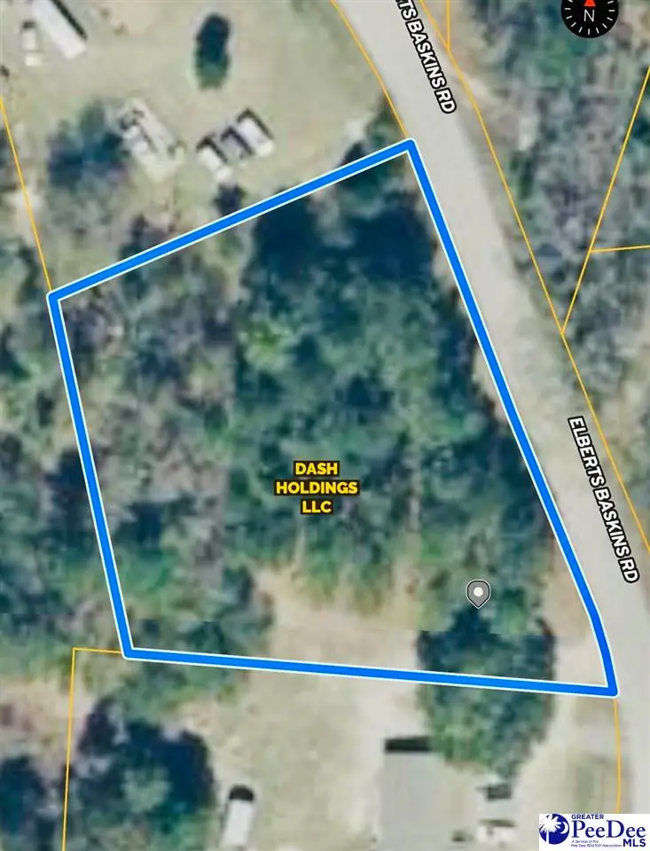 385 Elbert Baskins Rd, Cheraw, SC 29520 - #3